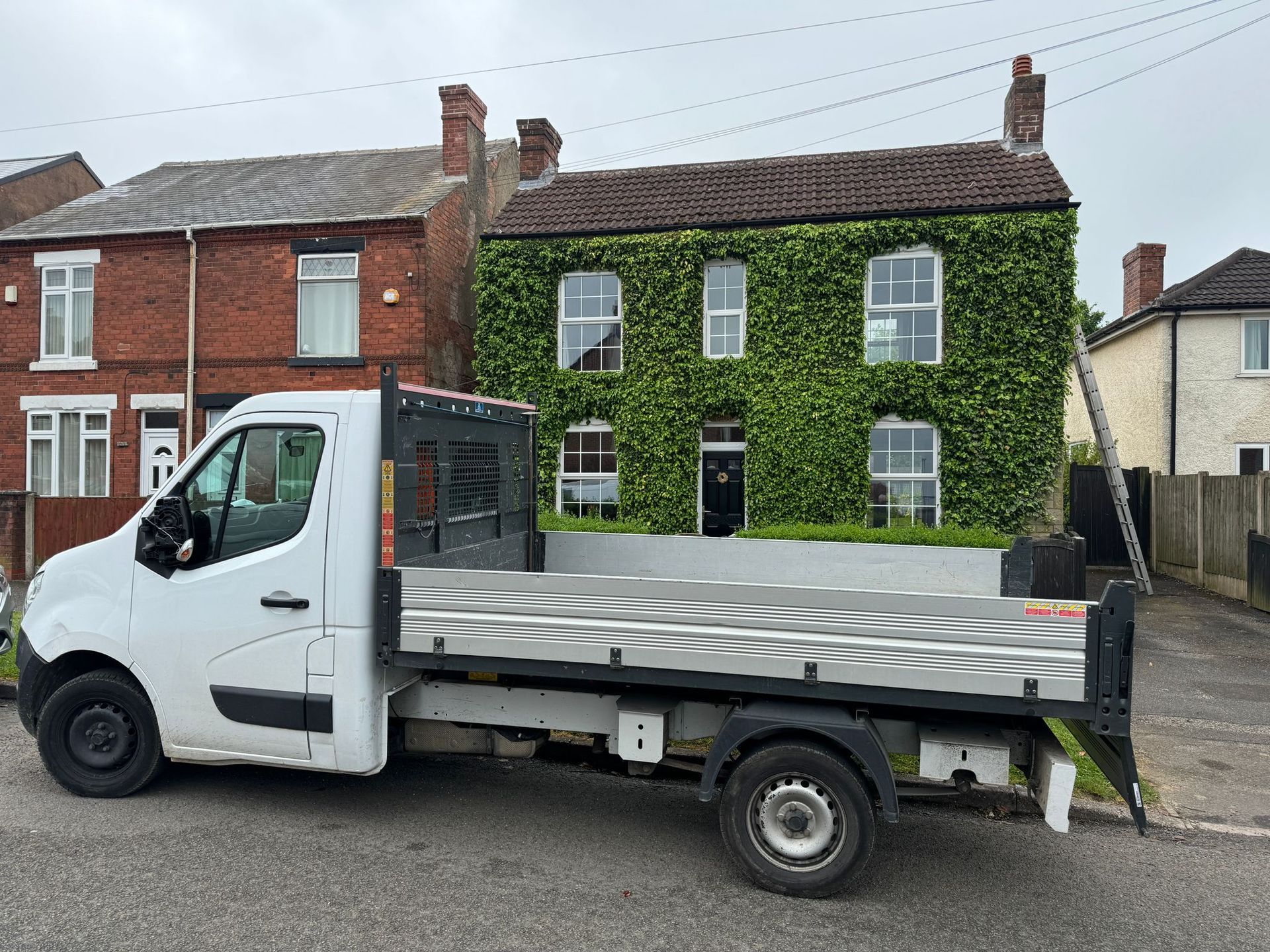 overgrown-ivy-due-for-removal-in-derby-tree-service